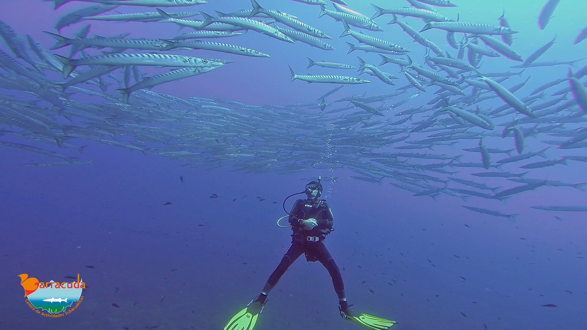 barracuda centro de buceo